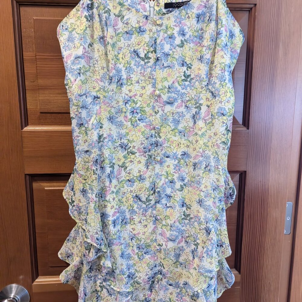 19 Cooper Button Front Ruffle Dress (New without tag) - Picture 5 of 7